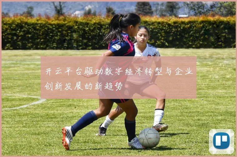开云平台驱动数字经济转型与企业创新发展的新趋势