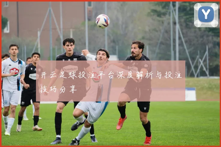 开云足球投注平台深度解析与投注技巧分享