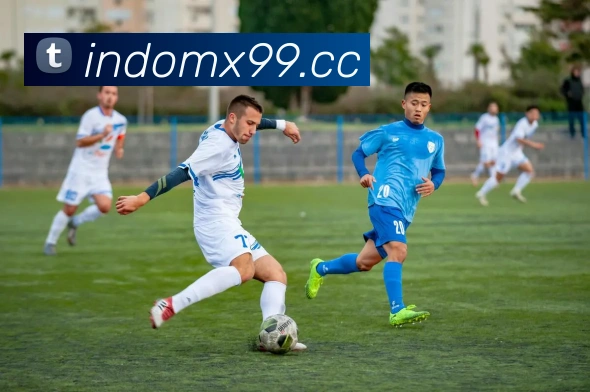 奖项证书